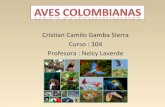 Aves colombianas cristian