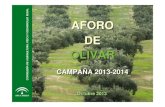 Aforo del Olivar-2013/2014