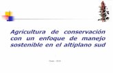 Cossio Jaime  - Agricultura de conservación con un enfoque de manejo sostenible en el altiplano sud _ R.M.