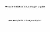 Morfología de la imagen digital