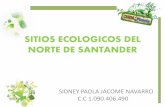 Sitios ecologicos del norte de santander universidad remington 4 semestre de contaduria.