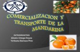 Comercializacion y transporte de la mandarina