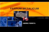 Ferrum metalicum