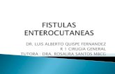 Fistulas enterocutaneas