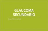 Glaucoma secundario