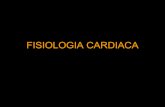 Fisiologia cardiaca
