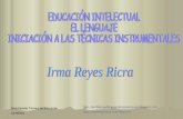 DESARROLLO INTELECTUAL Irma Reyes Ricra.