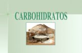 Addi 03 Carbohidratosparte1