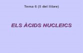 Àcids Nucleics
