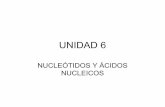 Unidad 6. nucleótidos y ácidos nucleicos