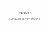 Unidad 5. aminoácidos y proteínas