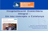 Hosp Domiciliaria Integral - Resultats del Servei de Geriatria a BSA