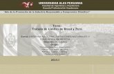 Tratado de limites de Peru y Brasil