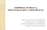 PROCESO PRIVATIZACION EN ESPAÑA