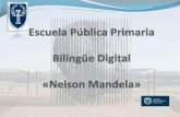 Escuela Pública Bilingüe Digital Nelson Mandela