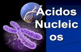 Cidos nucleicos-1208360113678933-9