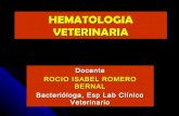 8794556 hematologia-veterinaria