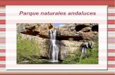 Presentacion parque naturales de andalucia