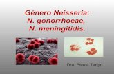 Clase 12-género neisseria