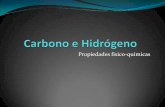 Carbono e hidrógeno