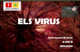 Biologia virus