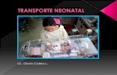 Transporte neonatal