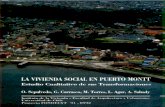 Vivienda social en puerto Montt - Muestra
