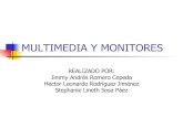 Multimedia Y Monitores