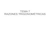 4ºESO OP B.Tema 7. Razones trigonometricas