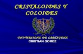 Coloides cristaloides[2]