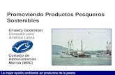 II Taller Alianza Eco-region Caribe Sur / MIZC.MSC Promoviendo productos pesqueros sostenibles castellano