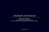 Neuroplasticidad (por: Carlitosrangel)