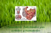 Parasitosis intestinales por cestodos y trematodos