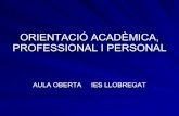 Orientació Professional, AcadèMica I Personal
