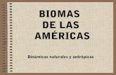 Biomas de las américas