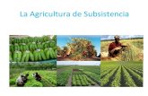 La Agricultura de Subsistencia