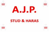 Stud & Haras A.J.P.