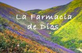 FARMACIA - EL JAVI LAYÚS