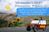 Momento El Lago PáJaro