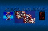 Acidos nucleicos 2013