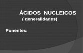 Acido nucleicos