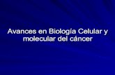 Avances En BiologíA Celular Y Molecular Del CáNcer