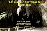 Las Cuevas Y Carvernas De Puerto Rico