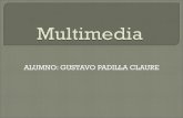 Dispositivos Multimedia