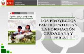 Proyectos participativos sustentacion edwin