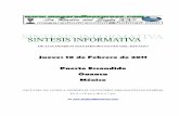 Sintesis Informativa 100211