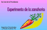 Fernández suárez 1º 2 zanahoria