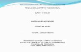 Psicodiagnóstico de las funciones cognoscitivas trabajo colaborativo-fase individual-Martha Avendaño