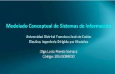 Conceptual modeling of information systems