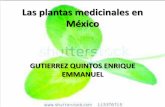 Presentacion (las plantas medicinales en méxico)